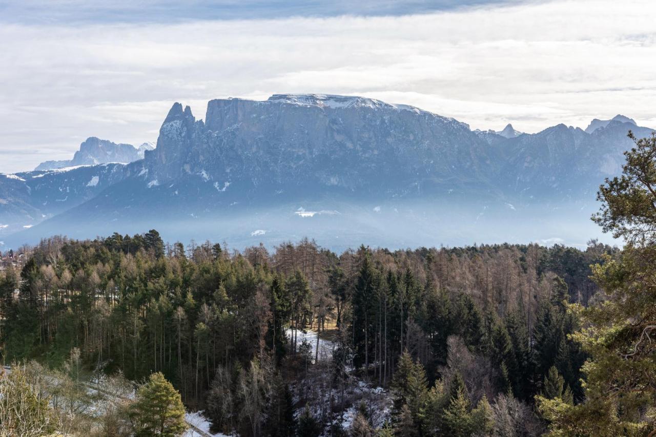Alpin Farm Birke - Oberweidacherhof Collalbo Exterior photo
