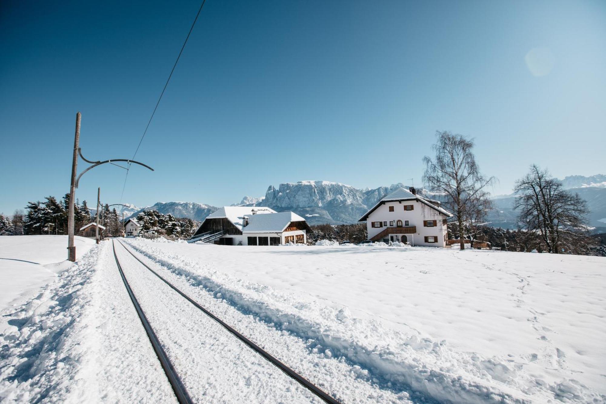 Alpin Farm Birke - Oberweidacherhof Collalbo Exterior photo